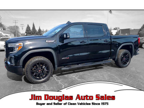 2019 GMC Sierra 1500 for sale at Jim Douglas Auto Sales in Pontiac MI