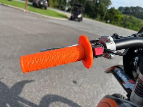 2024 TrailMaster TM 38E-300