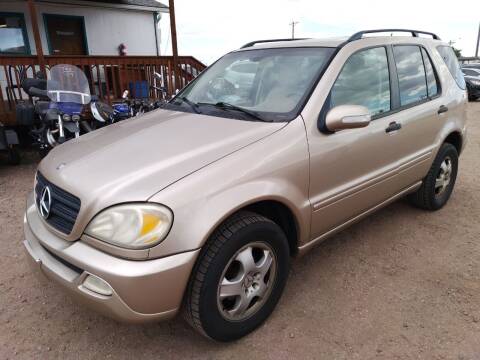 2002 Mercedes-Benz M-Class for sale at PYRAMID MOTORS - Fountain Lot in Fountain CO