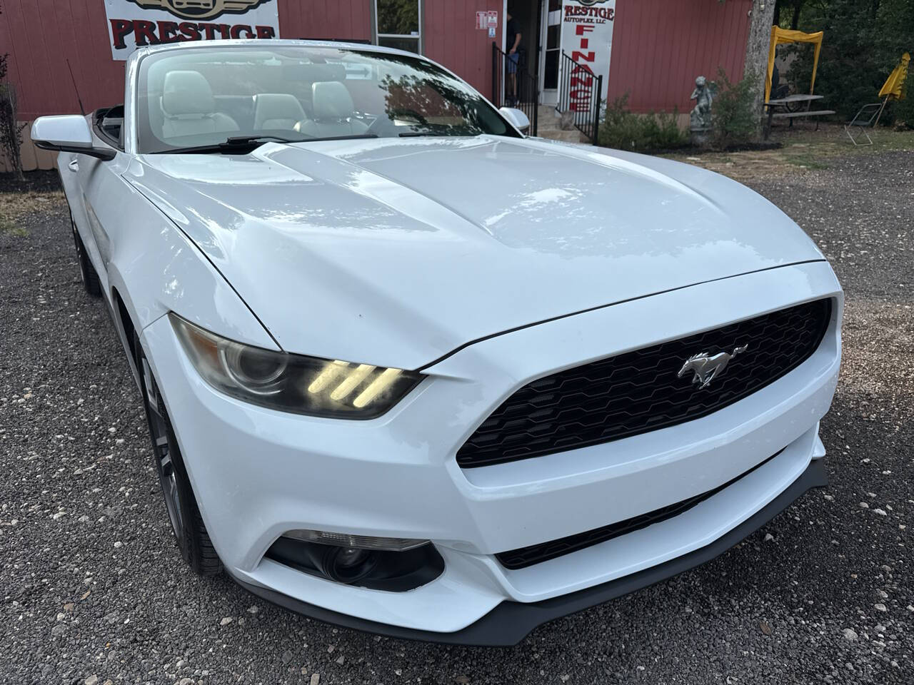 2016 Ford Mustang EcoBoost Premium 2dr Convertible's photo