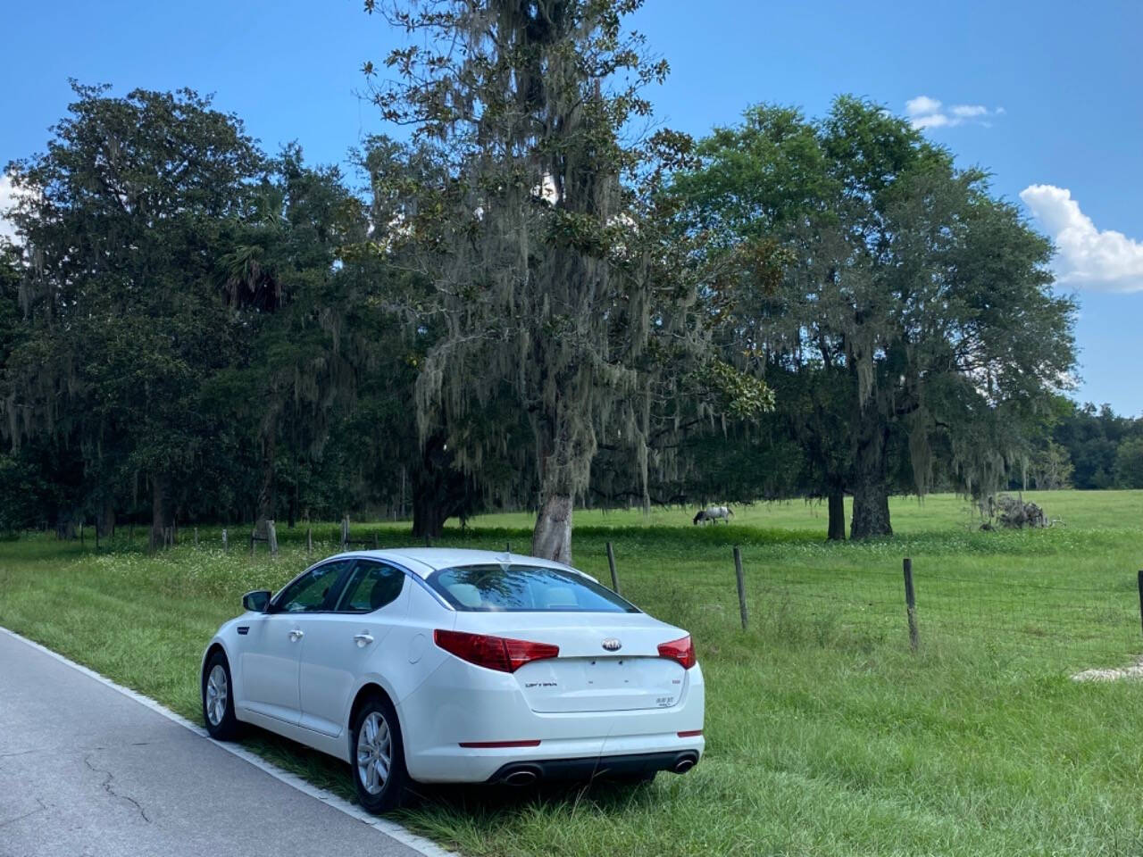 2013 Kia Optima for sale at AUTO NATION WAY LLC in Gainesville, FL