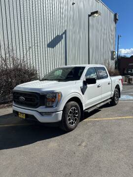 2022 Ford F-150 for sale at DAVENPORT MOTOR COMPANY in Davenport WA