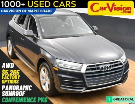 2019 Audi Q5 for sale at Car Vision Mitsubishi Norristown in Norristown PA