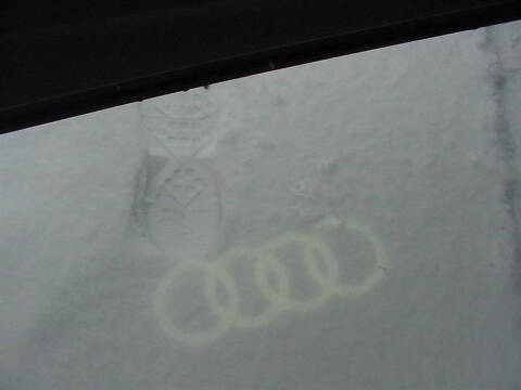 2021 Audi Q7 quattro Premium Plus 55 TFSI