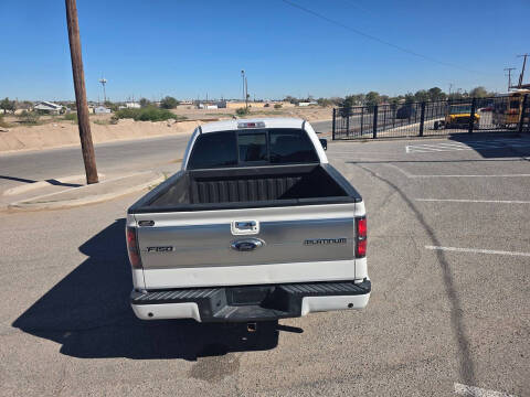 2013 Ford F-150 Platinum