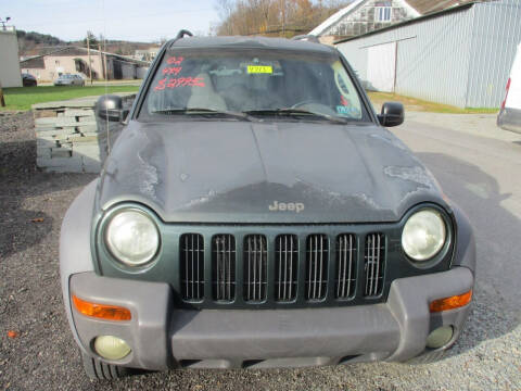 2002 Jeep Liberty for sale at FERNWOOD AUTO SALES in Nicholson PA