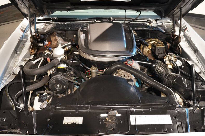 1979 Pontiac Firebird