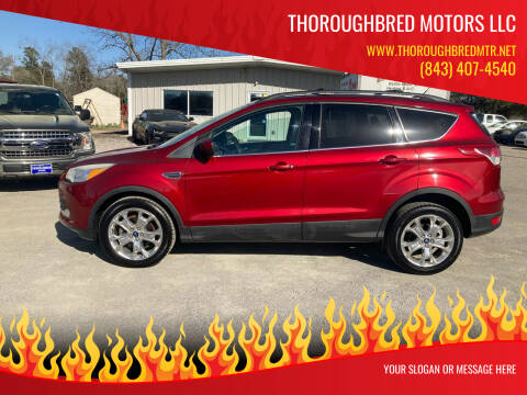 2013 Ford Escape for sale at Thoroughbred Motors LLC in Scranton SC