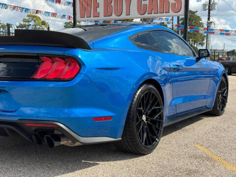 2019 Ford Mustang