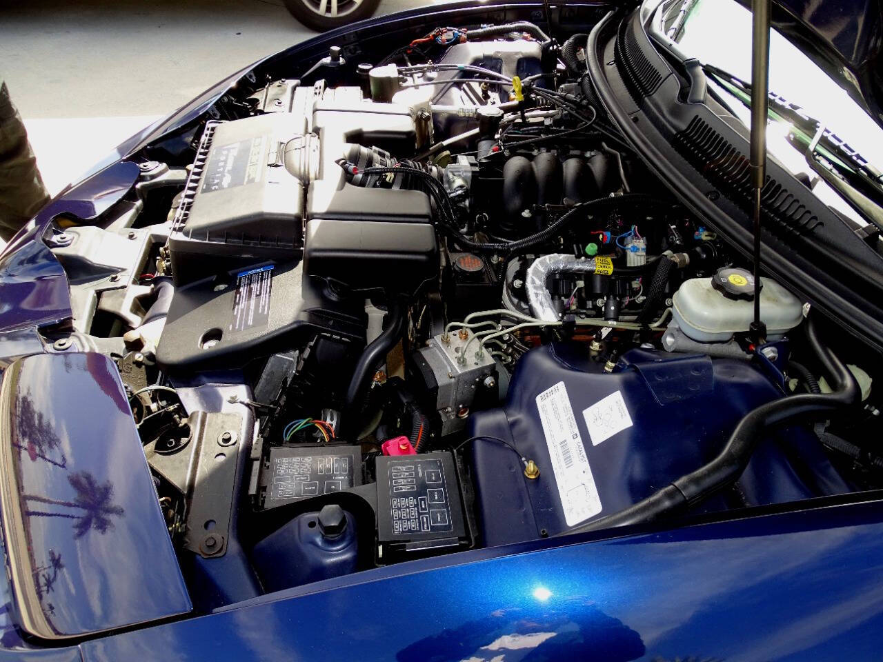 2002 Pontiac Firebird 55