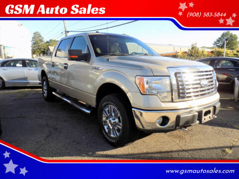 2010 Ford F-150 for sale at GSM Auto Sales in Linden NJ