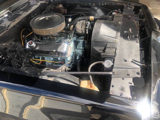 1979 Pontiac Firebird