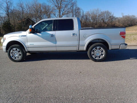 2013 Ford F-150 for sale at DOUG'S AUTO SALES INC in Pleasant View TN