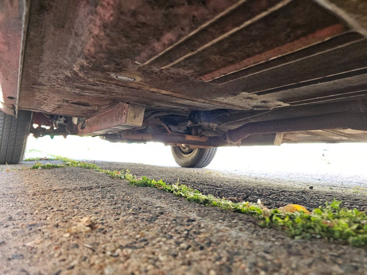 1964 Ford Mustang 222