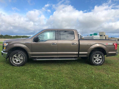 2017 Ford F-150 for sale at Sambuys, LLC in Randolph WI