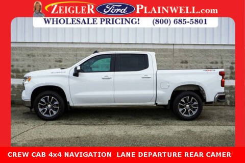 2023 Chevrolet Silverado 1500 for sale at Zeigler Ford of Plainwell in Plainwell MI