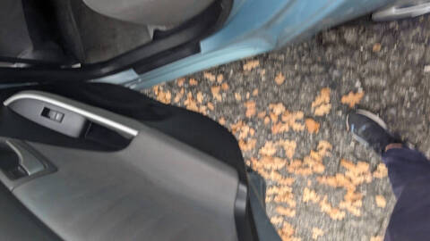 2014 Toyota Prius Three