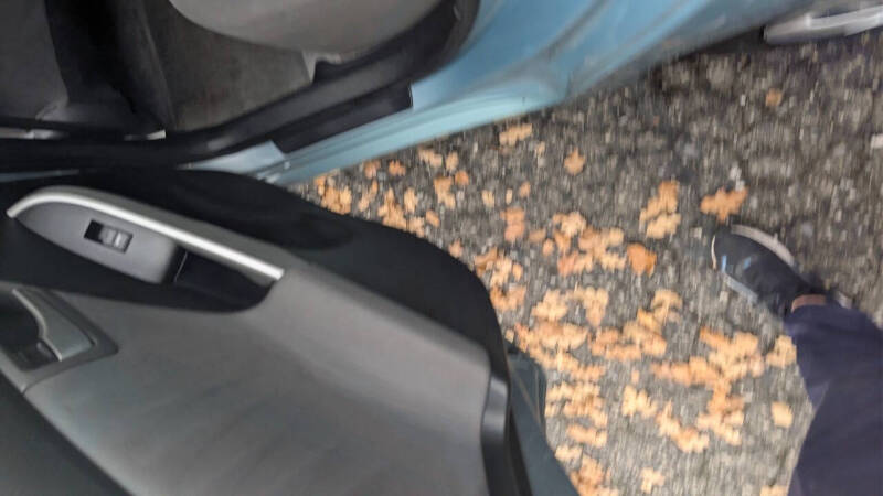 2014 Toyota Prius Three