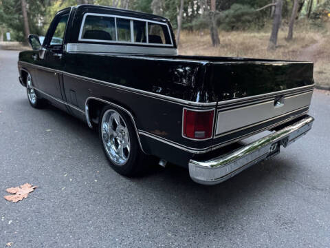 1980 Chevrolet C/K 10 Series