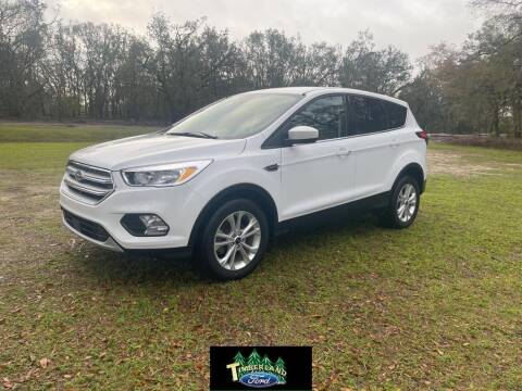 2019 Ford Escape for sale at TIMBERLAND FORD in Perry FL