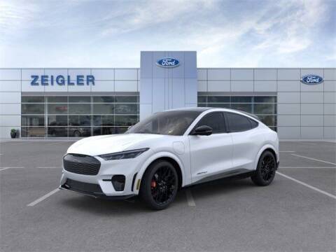 2023 Ford Mustang Mach-E for sale at Zeigler Ford of Plainwell - Avery Ziegler in Plainwell MI