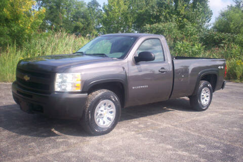 2010 Chevrolet Silverado 1500 for sale at Action Auto Wholesale - 30521 Euclid Ave. in Willowick OH
