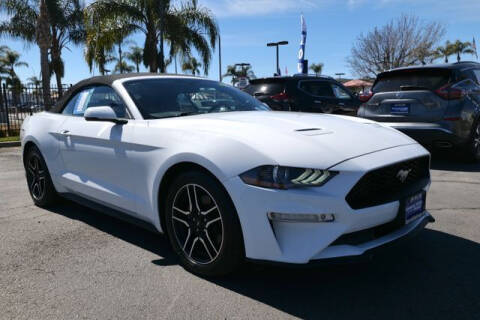 2019 Ford Mustang for sale at DIAMOND VALLEY HONDA in Hemet CA