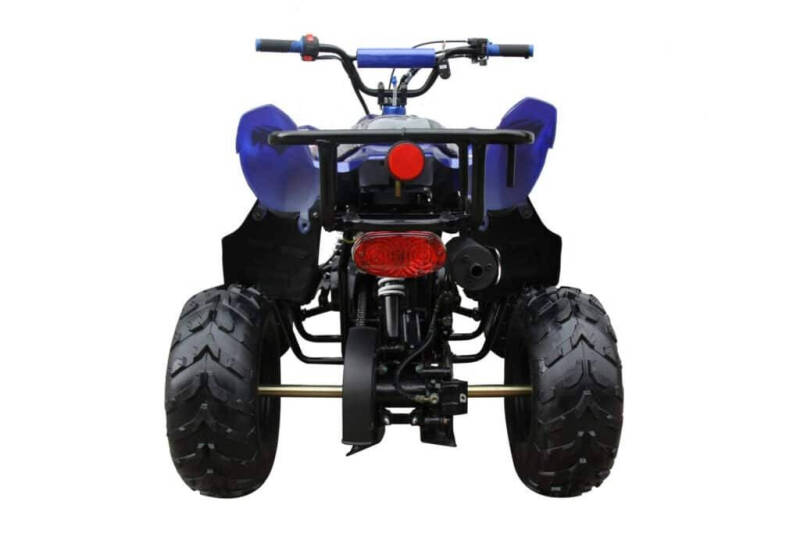 2025 Coolster 110cc 3050B