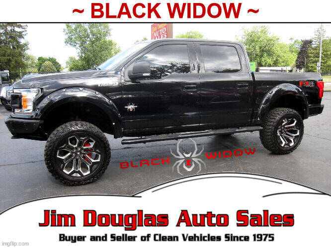 2020 Ford F-150 for sale at Jim Douglas Auto Sales in Pontiac MI