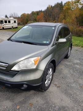 2008 Honda CR-V for sale at Rt 13 Auto Sales LLC in Horseheads NY