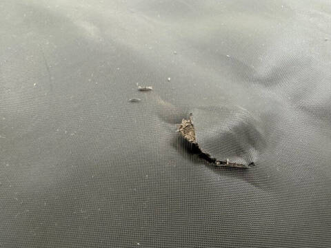 1955 Ford Thunderbird