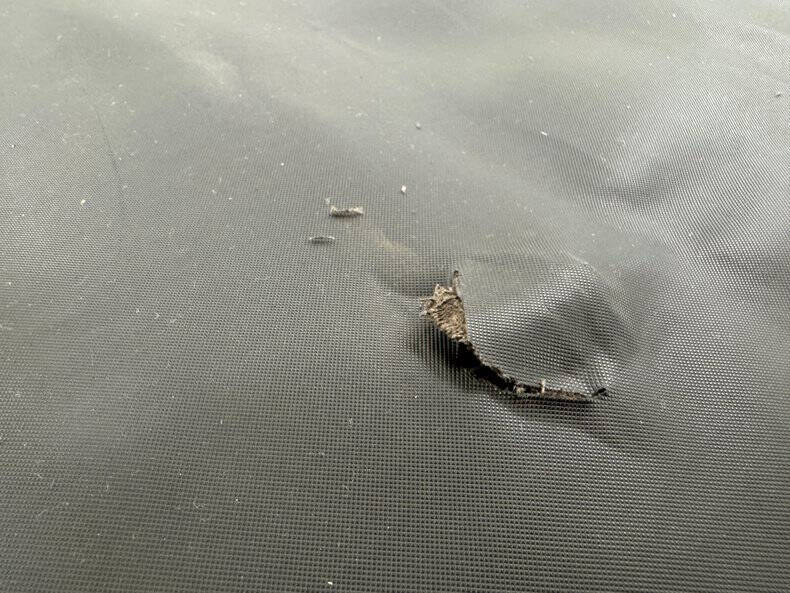 1955 Ford Thunderbird