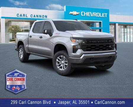 2024 Chevrolet Silverado 1500 for sale at Carl Cannon in Jasper AL