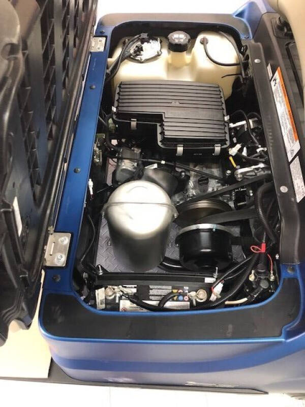 2023 Yamaha Gas Golf Car - Arctic Drift