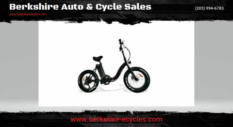 2021 Berkshire Bigfoot Folding Fat Tire Step for sale at Berkshire Auto & Cycle Sales in Sandy Hook CT