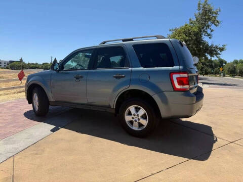 2010 Ford Escape XLT