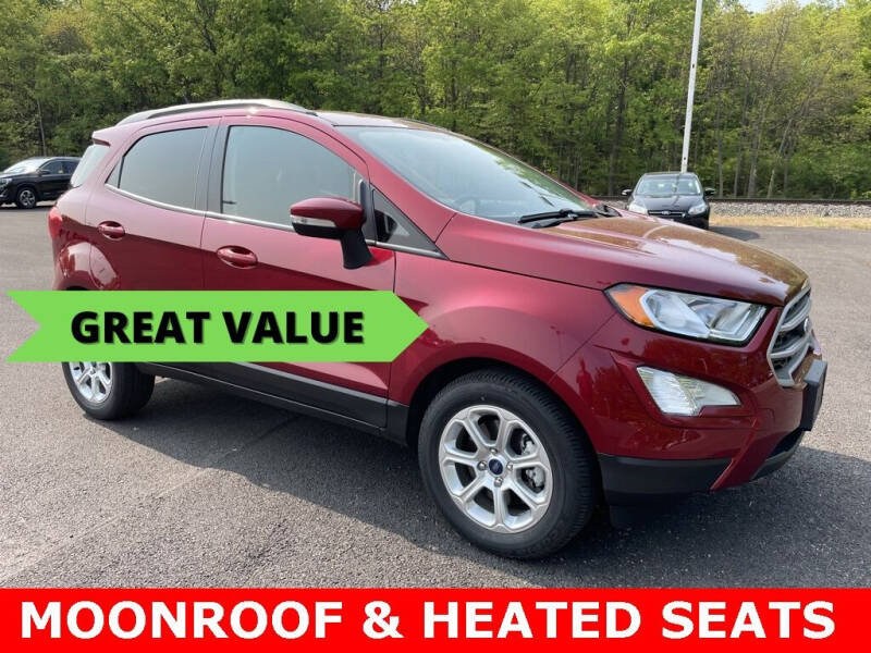 2020 Ford EcoSport for sale in Vermilion, OH