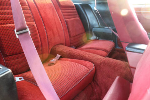 1979 Pontiac Firebird