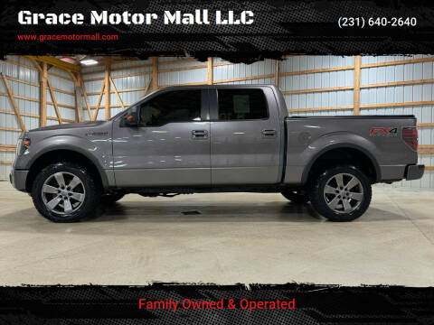 2014 Ford F-150 for sale at Grace Motor Mall LLC in Traverse City MI