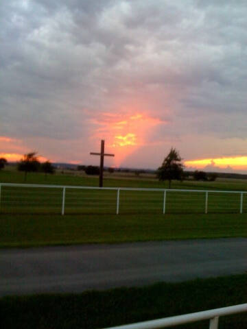 1996 Ford Mustang SVT Cobra