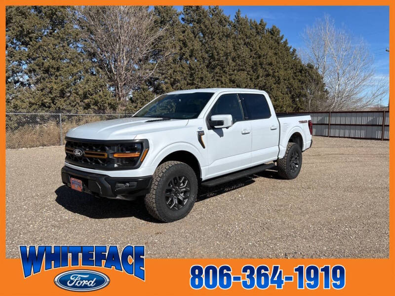 2025 Ford F-150 for sale at Whiteface Ford in Hereford TX
