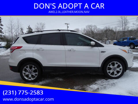 2013 Ford Escape for sale at DON'S ADOPT A CAR in Cadillac MI