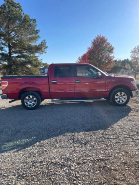 2010 Ford F-150 for sale at Cove Creek Motors LLC in Damascus, AR