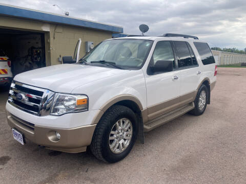 2011 Ford Expedition for sale at Dakota Auto LLC in Dakota City NE