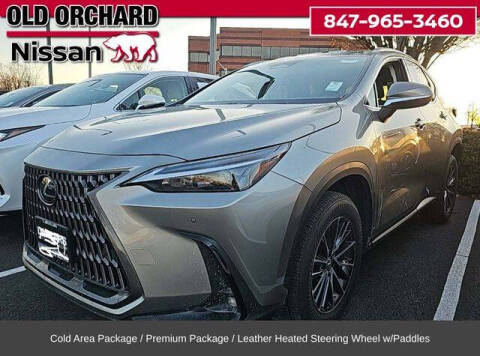 2024 Lexus NX 350 for sale at Old Orchard Nissan in Skokie IL