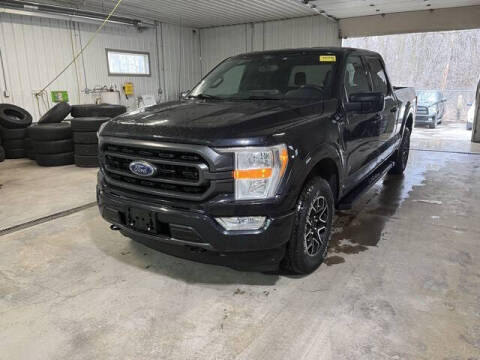 2021 Ford F-150 for sale at Monster Motors in Michigan Center MI