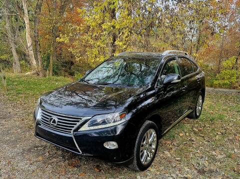 2014 Lexus RX 350 for sale at GOLDEN RULE AUTO in Newark OH
