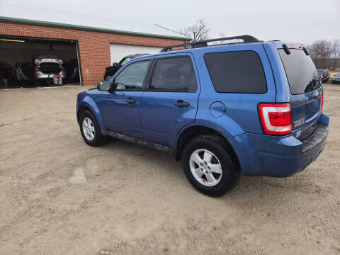 2010 Ford Escape XLT