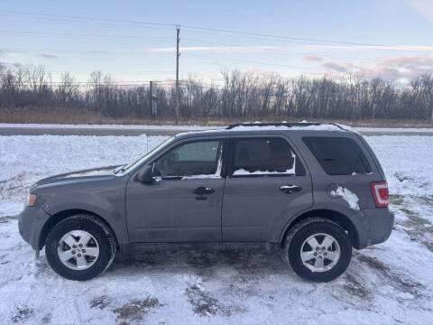 2012 Ford Escape XLT