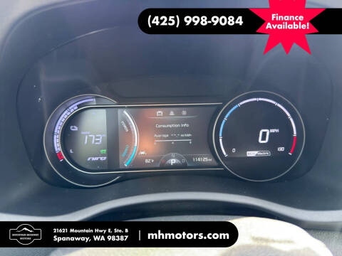 2019 Kia Niro EV EX